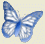 BGbutterfly4WB.gif